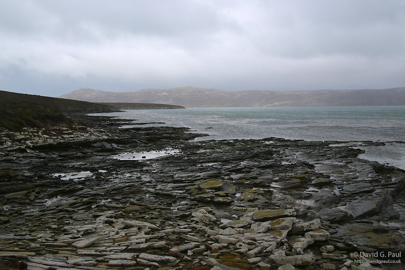 Saunder’s Island