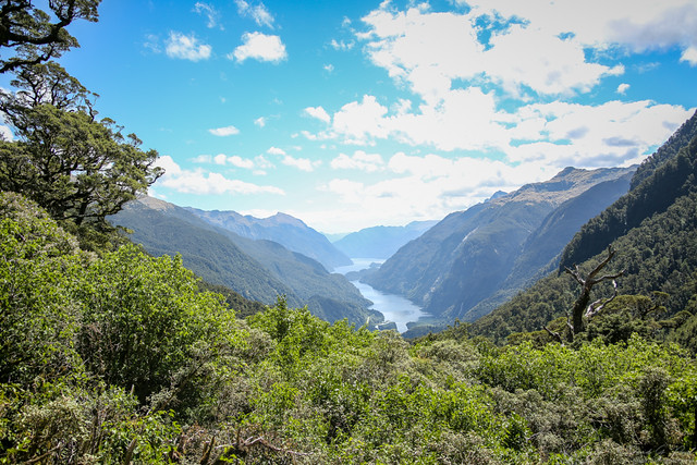 Doubtful Sound