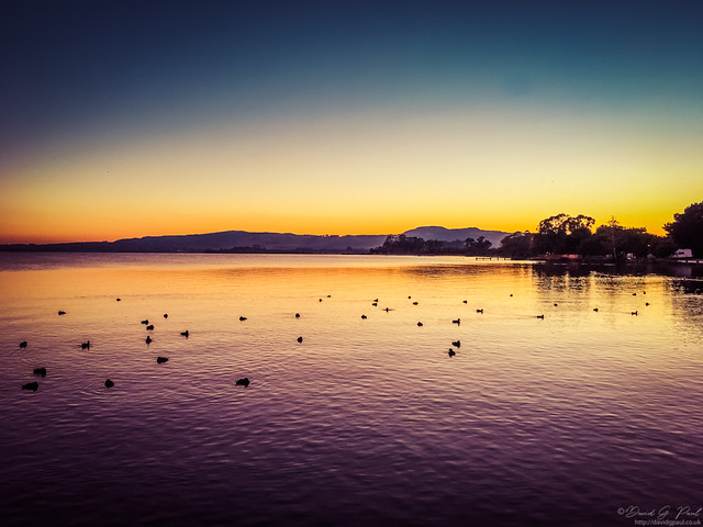 Sunrise on Rotorua