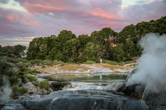 Te Puia - Sunset