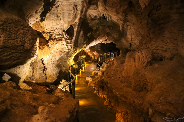 Ruakuri Caves