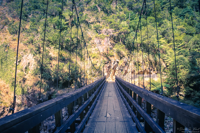 Karangahake Gorge