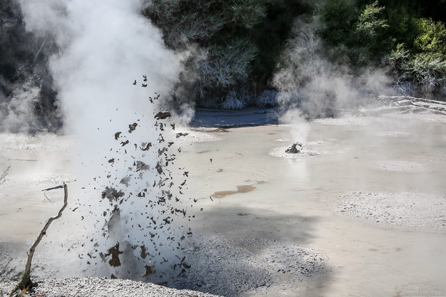 Wai-o-tapu mud pool