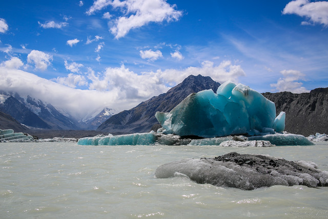 Icebergs from the Tasman Glacier