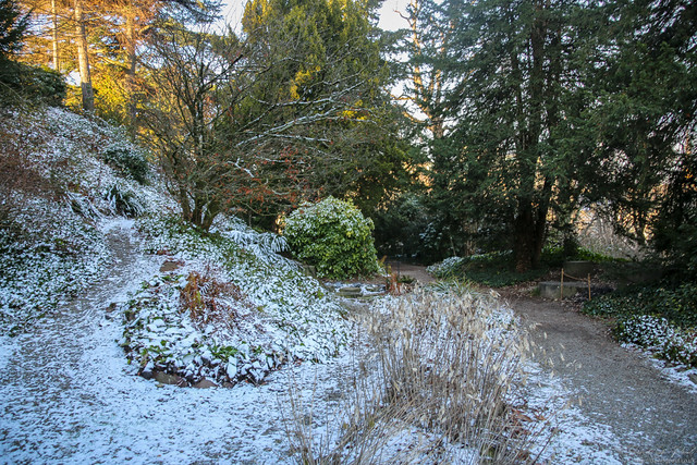 Botanical Garden