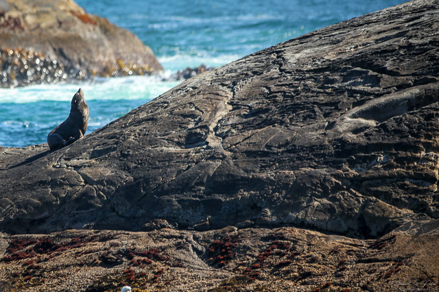 Doubtful Sound