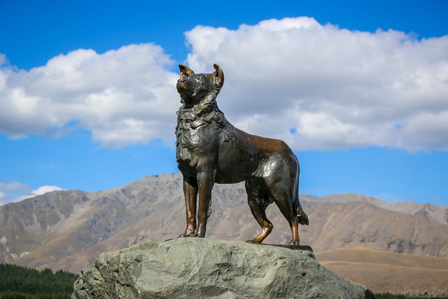 Shepherd Dog monument