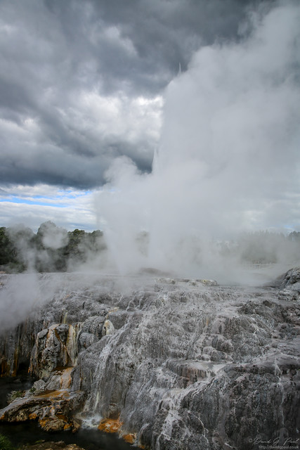 Te Puia - Geysers