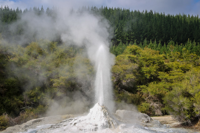 Lady Knox Geyser