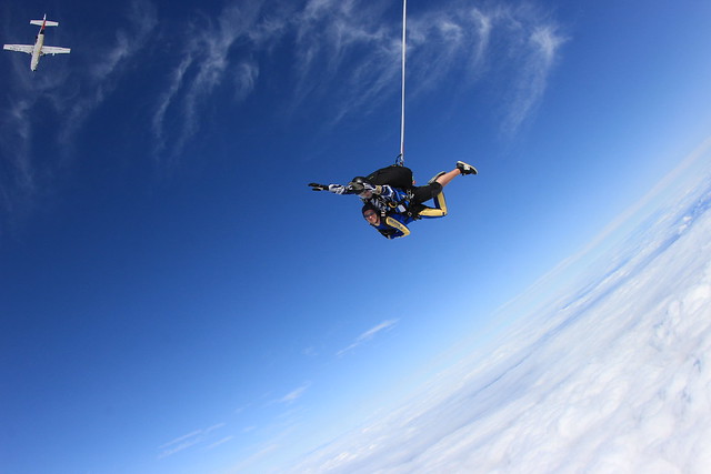 Freefall