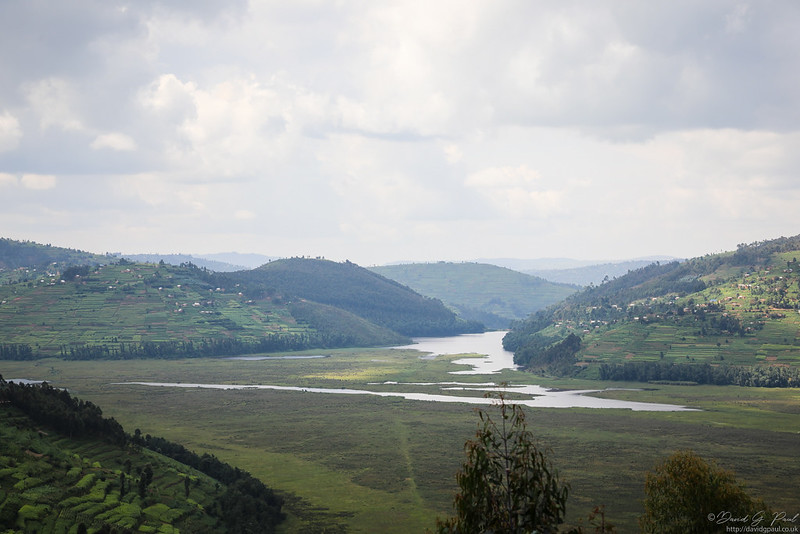 Rugezi Marsh
