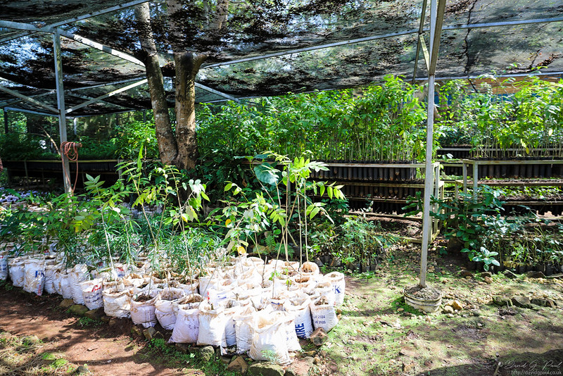 Sustainable growth