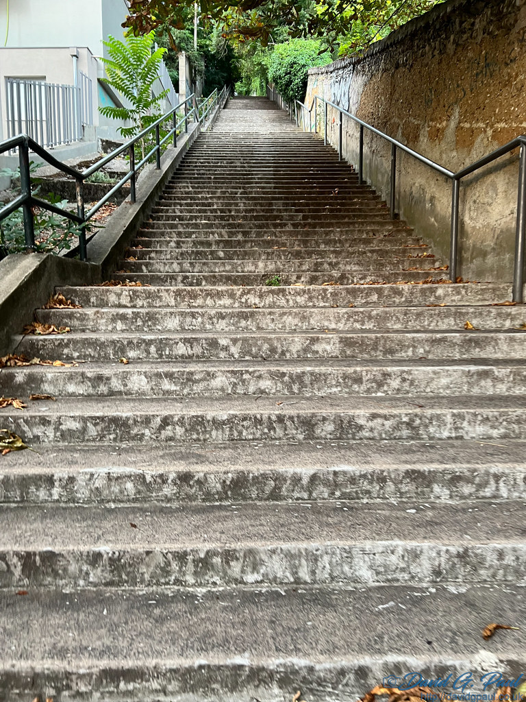 20250726065745-IMG_1199