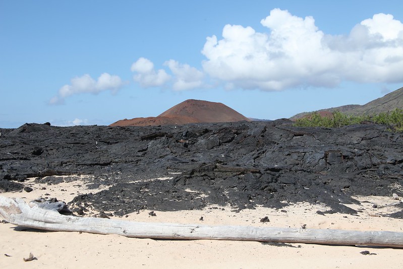 Isla Santiago: Landscape of lava and desert