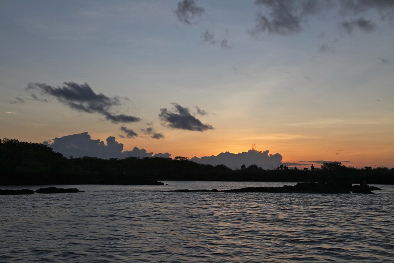 Black Turtle Cove Sunset