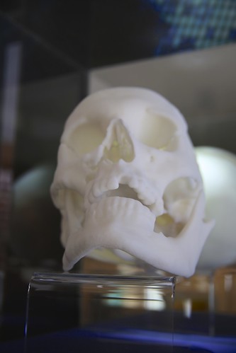 3D printed replica of Richard III’s skull
