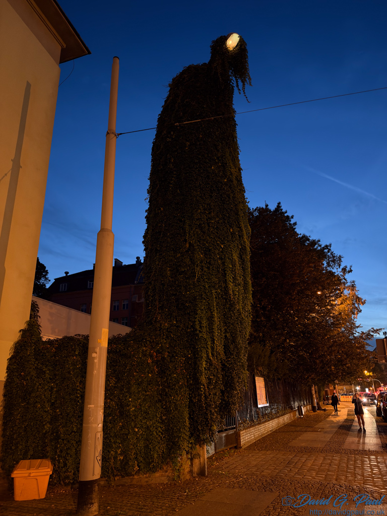 Creeping vines hanging from a lit street light at night