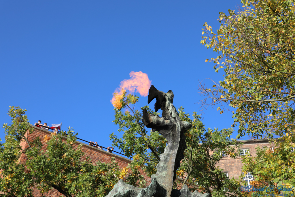 Krakow Dragon breathing fire